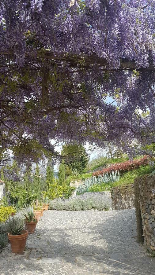 Вилла Ancient Estate "Il Trignano" Виетри Экстерьер фото