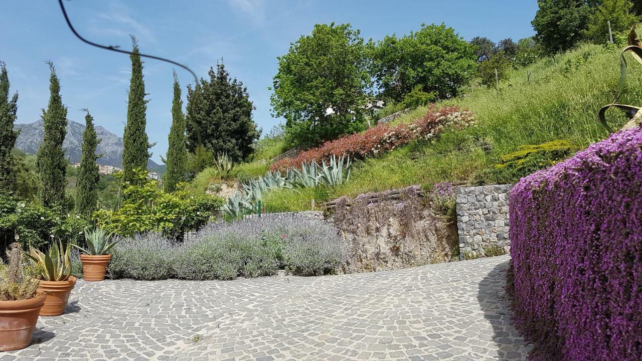 Вилла Ancient Estate "Il Trignano" Виетри Экстерьер фото