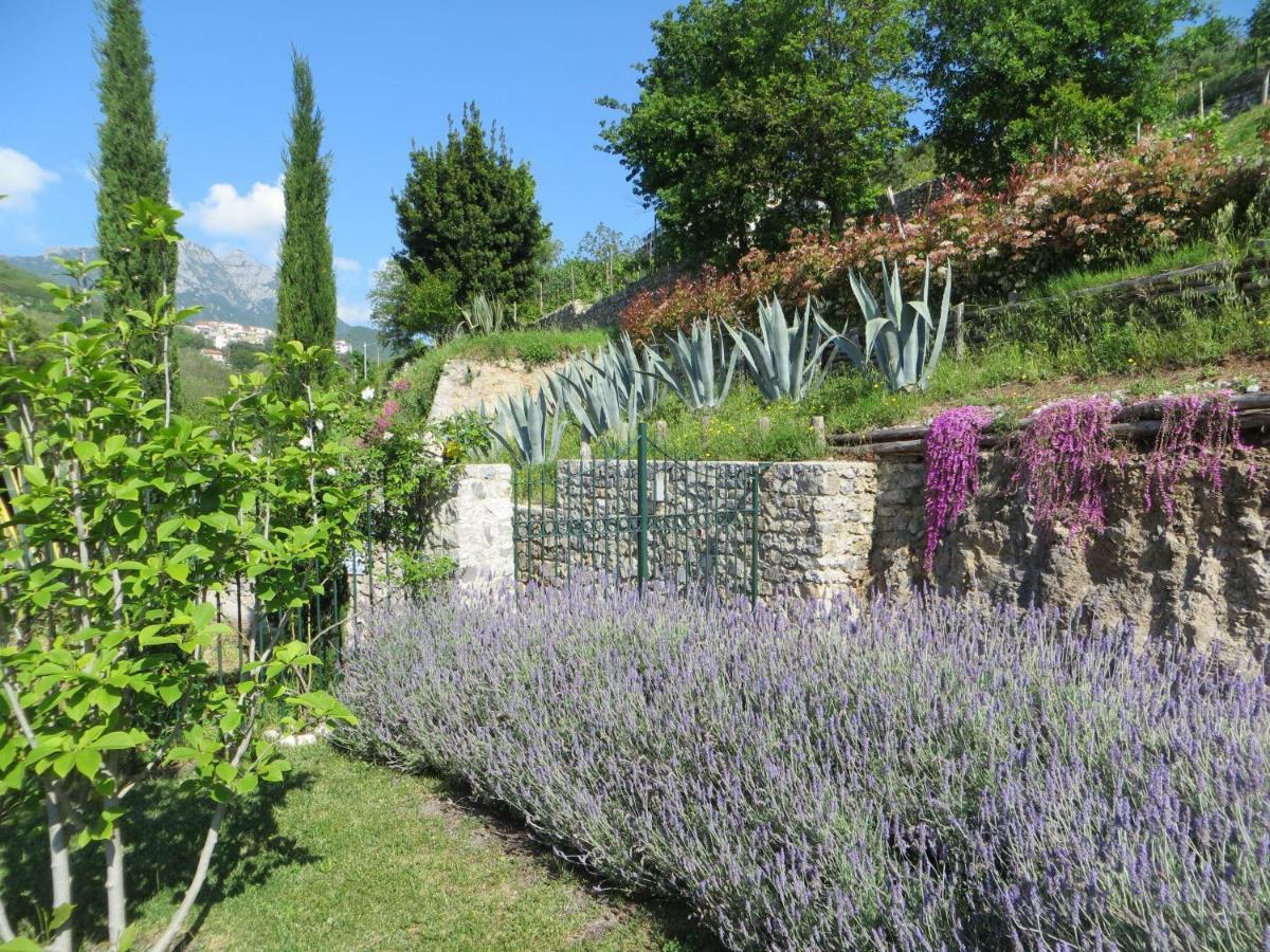 Вилла Ancient Estate "Il Trignano" Виетри Экстерьер фото